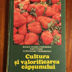 Cultura si valorificarea capsunului (1982 - cu ilustratii - Stare ca noua!!!)