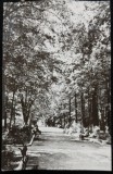 Carte Postala, Pucioasa, vedere din parc, inceputul perioadei comuniste