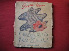 CORABIA CU TUFANICI - RADU GYR (editia 1) foto