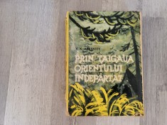 Prin taigaua Orientului Indepartat de V.K.Arseniev