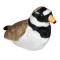 Pasare cu sunet Prundaras Gulerat Mic - RINGED PLOVER