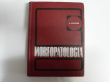 Morfopatologia - I. Georgescu ,551568, Didactica Si Pedagogica