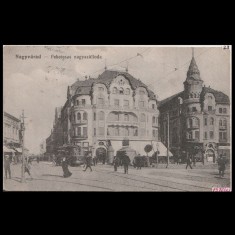 Carte poștală veche Oradea &ndash; Fekete Sas Sz&aacute;lloda (Hotel Vulturul Negru) &ndash; 1916