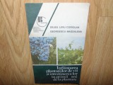 INFIINTAREA PLANTATIILOR DE VII SI INTRETINEREA LOR IN PRIMII ANI DE LA PLANTARE