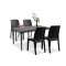 Set mobilier de grădină Pauli 4+1, grafit