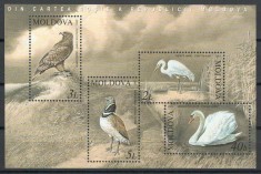 Moldova 2003 Mi 481/84 bl 30 MNH - Animale pe cale de disparitie: pasari