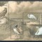 Moldova 2003 Mi 481/84 bl 30 MNH - Animale pe cale de disparitie: pasari