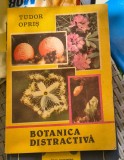 Tudor Opris-Botanica distractiva