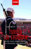 Turcia lui Erdogan - Ahmet Insel