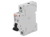 &Icirc;ntrerupător de Supracurent 1A 230V C