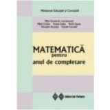 Matematica pentru anul de completare