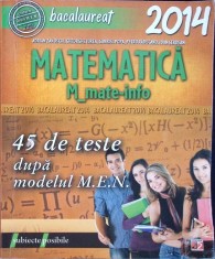 BACALAUREAT 2014 MATEMATICA-ADRIAN ZANOSCHI, GHEORGHE IUREA, GABRIEL POPA, PETRU RADUCANU, IOAN SERDEAN-300346