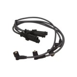 Set fise bujii CITRO&Euml;N BERLINGO / BERLINGO FIRST Autoutilitară/limuzină spațioasă ( (1996 - 2011) MAXGEAR 53-0018