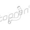 Furtun radiator OPEL ASTRA G Hatchback (F48, F08) (1998 - 2009) TOPRAN 207 335