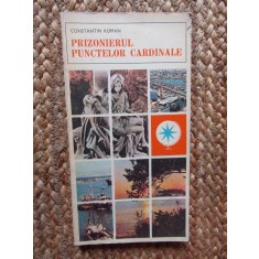 Prizonierul punctelor cardinale - Constantin Roman