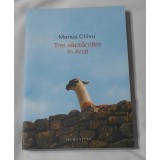 Marius Chivu - Trei Saptamani in Anzi