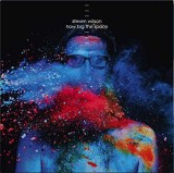 How Big The Space - Vinyl | Steven Wilson, Pop