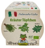 Ghiveci biodegradabil cu seminte pentru semanat - mix ierburi italiene 3 bucati bio Aries
