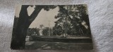 Carte postala Timisoara , Parcul Eminescu , an 1925