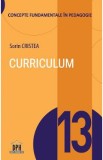 Curriculum - Sorin Cristea