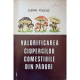 VALORIFICAREA CIUPERCILOR COMESTIBILE DIN PADURI-ELENA POLEAC-225417