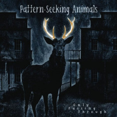 PatternSeeking Animals Only Passing Through Ltd. Edition (cd)