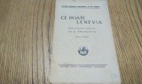 CE POATE LENEVIA - Drama Populara in un Act - Th. D. Sperantia - Editura Cartea Romaneasca, Teatru Popular, Scolaresc si de Familie, 1928, 34 p.