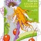 Fairies Color by Numbers