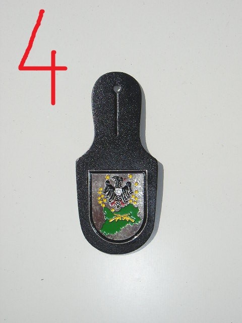 QW8 4 - Insigna - tematica militara - simbol arme - suport piele