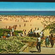 CPI B12800 CARTE POSTALA - MANGALIA. PLAJA