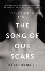 The Song of Our Scars: The Untold Story of Pain foto