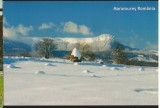 CPI B13217 CARTE POSTALA - MARAMURES. CREASTA COCOSULUI SUB TROIENE, Necirculata, Fotografie