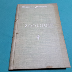 ZOOLOGIE PENTRU CLASA I- A SECUNDARĂ / C. KIRIȚESCU, A. P. BÂZNOȘANU /1910