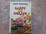 CARTE DE BUCATE - SILVIA JURCOVAN, 1983