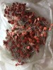 Condensatori Ceramici IPRS Baneasa 5.6pF 18pF 240pF 300pF 1986 Lot 500 Buc