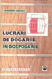 LUCRARI DE DOGARIE IN GOSPODARIE-ALEXANDRU CERLINCA-347385