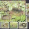 Jersey 2007 fauna MI 1271-1276 + bl.61 MNH