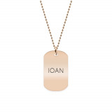 Freedom - Colier din argint 925 placat cu aur roz dog tag personalizat