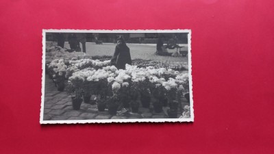 Bucuresti Tiganca Vanzatoare de flori florarese Etnic Gypsi Tigan Zigeuner foto
