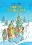 Noapte fermecata - Vasile Olac, Andreas