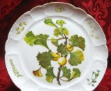 FARFURIE DECORATIVA PORTELAN LANGENTHAL ELVETIA MODEL BOTANICA GINKGO BILOBA 22 CM