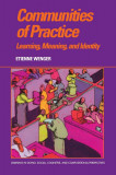Communities Of Practice | Etienne Wenger, Cambridge University Press