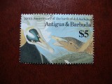 ANTIGUA SI BARBUDA PASARI MH, Nestampilat