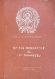 CHIPUL NEMURITOR AL LUI DUMNEZEU-DUMITRU STANILOAE-279392