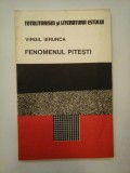 FENOMENUL PITESTI - VIRGIL IERUNCA