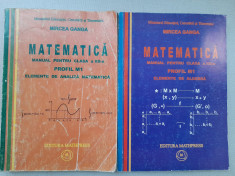 Mircea Ganga - Matematica manual pentru clasa a XII-a foto