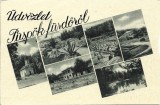 CP1354N &Uuml;dv&ouml;zlet P&uuml;sp&ouml;kf&uuml;rdőről, carte poștală, Băile 1 Mai