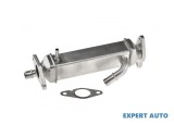 Radiator recirculare gaze Fiat Ducato (2006-&gt;) [250] #1