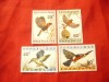 Serie mica Ruanda 1967 - Pasari , 4 valori, Nestampilat