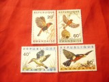 Serie mica Ruanda 1967 - Pasari , 4 valori